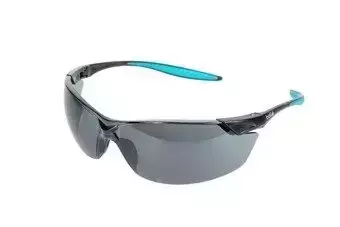 Lunettes de protection Bollé MAMBA Smoke